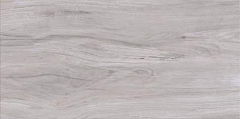 ASHVILLE LIGHT GREY 29,7X59,8 G1 - Image 3