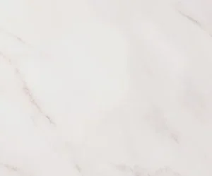 CARRARA WHITE GLOSSY RECT 29X89 G1