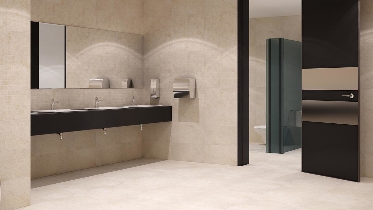 KAROO BEIGE 29,7X59,8 G1 - Image 2