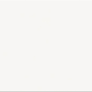 WHITE GLOSSY 25X75 G1