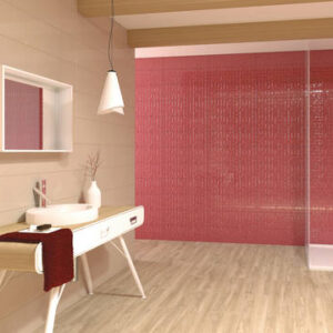 JOY CORAL GLOSSY 20×60