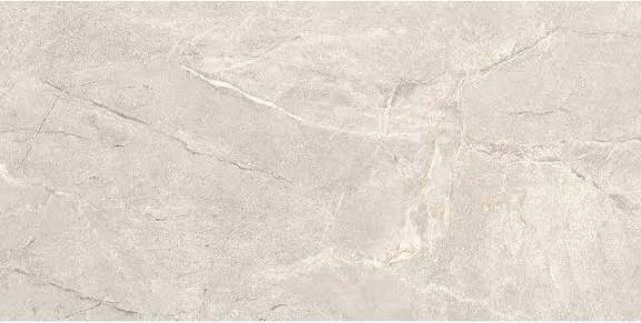 PONTINO LIGHT GREY MATT RECT 59,8x119,8 G1