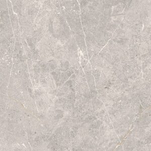 COLDY GREY MATT RECT 59,8×59,8 G1